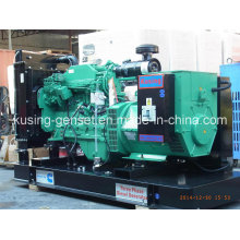 Generador abierto diesel Ck31800 225kVA con el motor CUMMINS (CK31800)
